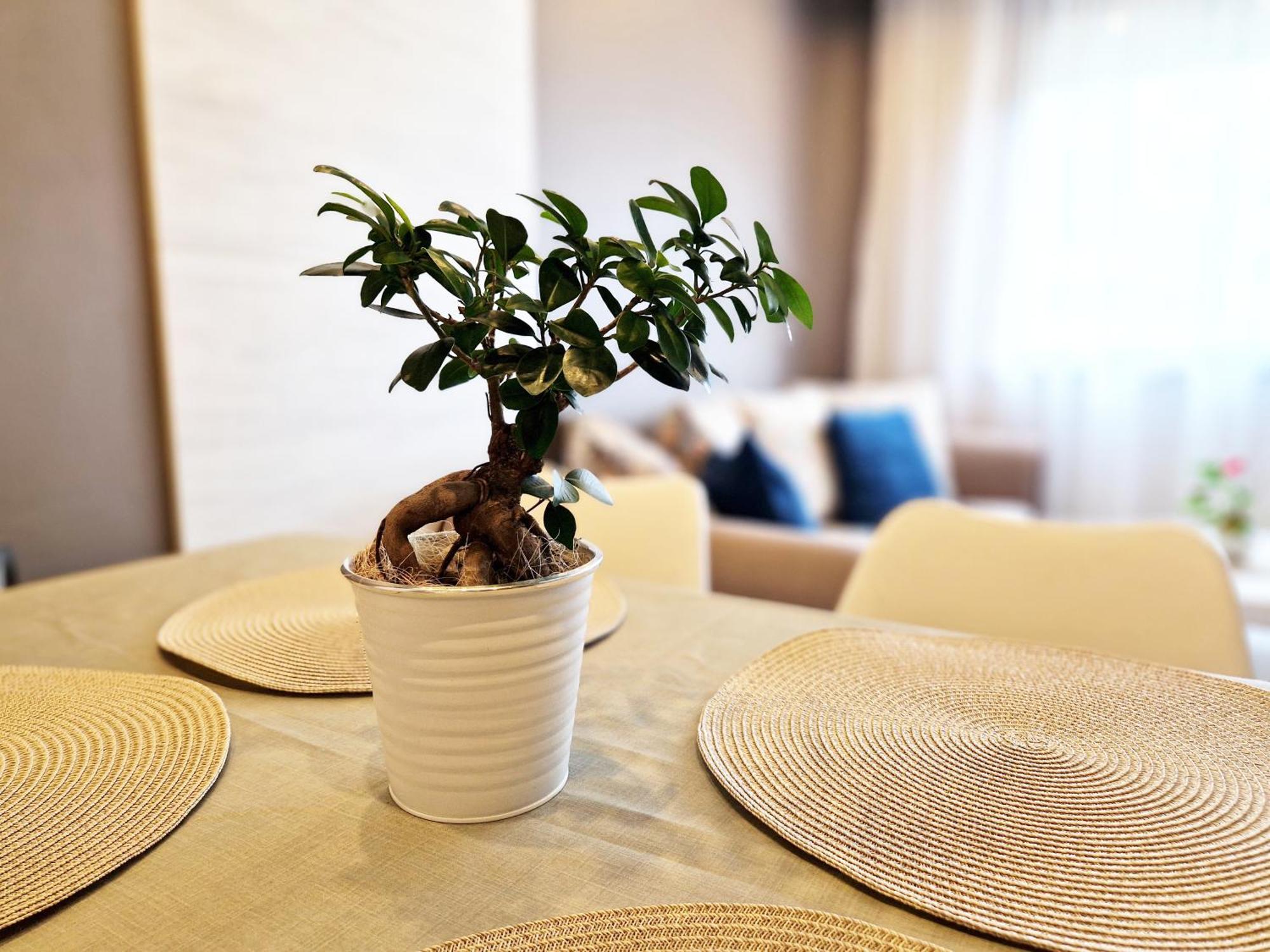 Central Apartment - Spacious Designer Property In Stara Zagora Luaran gambar